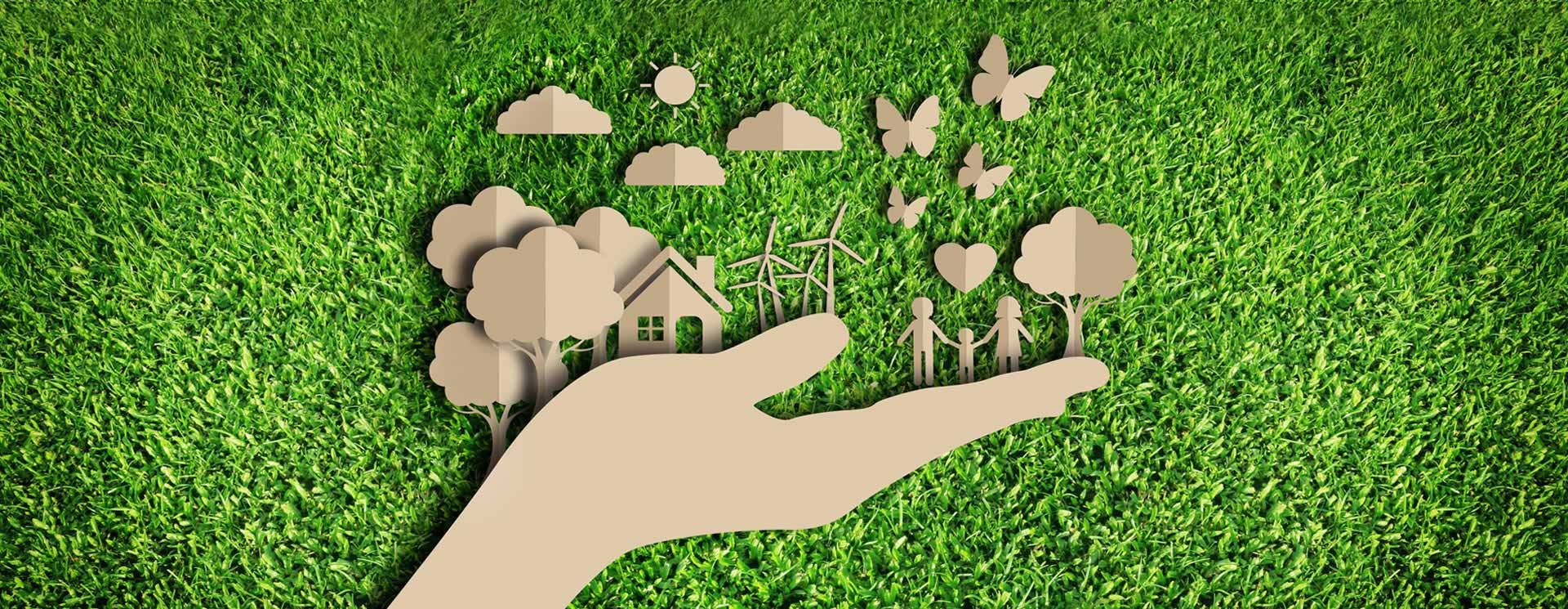 Ecologia Faiella Nicola