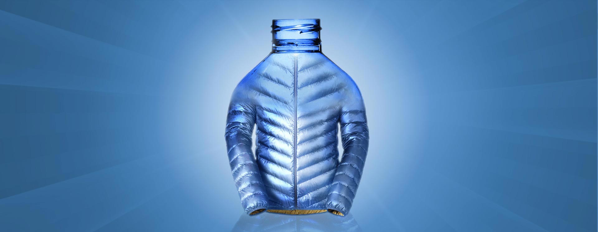 Ecologia Faiella Nicola